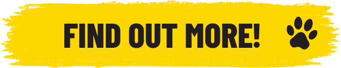 Find Out More!