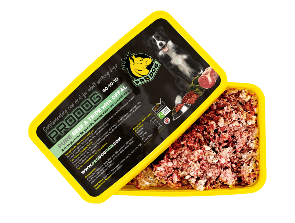 Kibble vs Raw Dog Food An Expert Comparison ProDog Raw