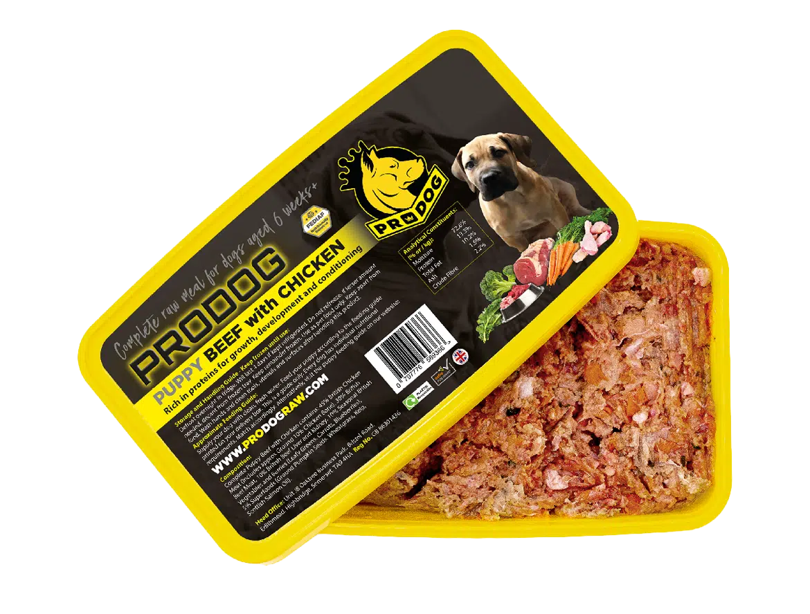 Beef raw puppy food meal pack shot