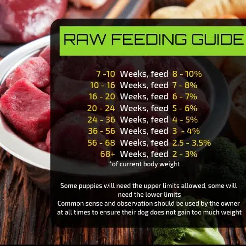 Raw Food Puppy Feeding Chart