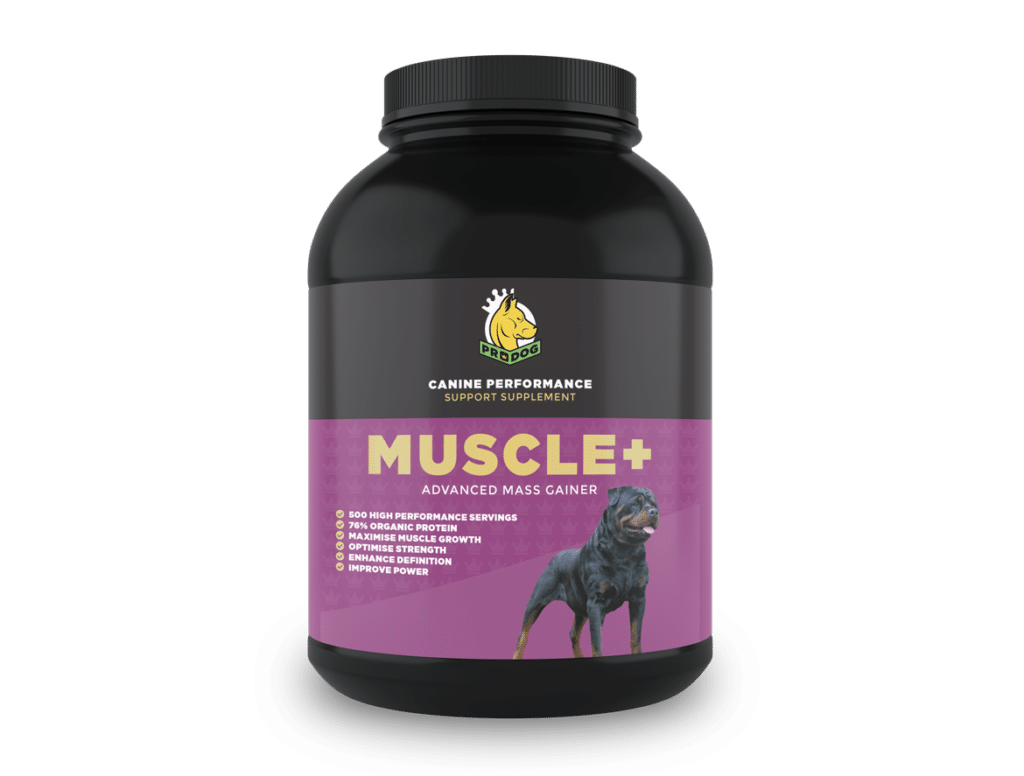 Muscle+ Dog Weight Gainer Supplement For Muscle ProDog Raw