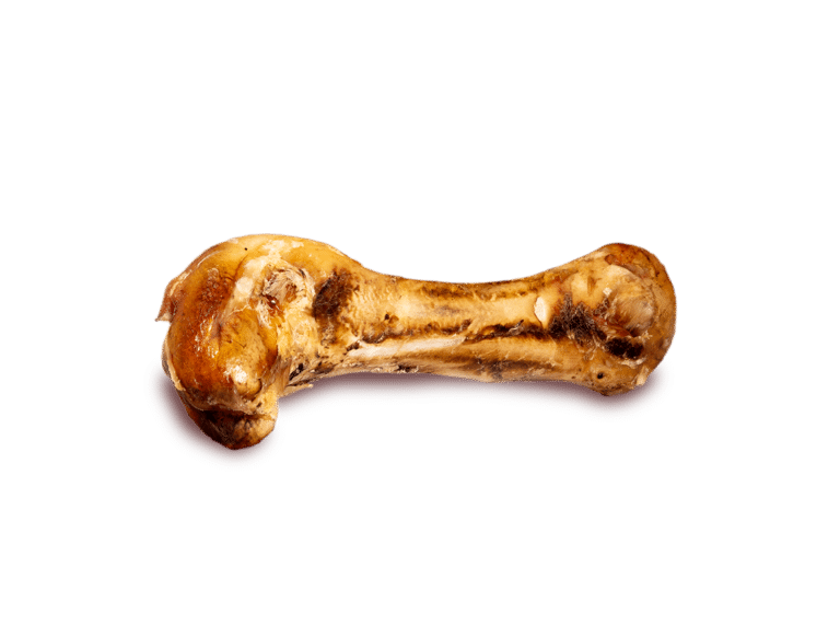 Large Ostrich Bone (475g)