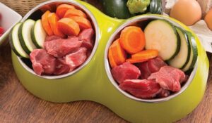 The Importance of a Balanced and Varied Raw Diet for Dogs