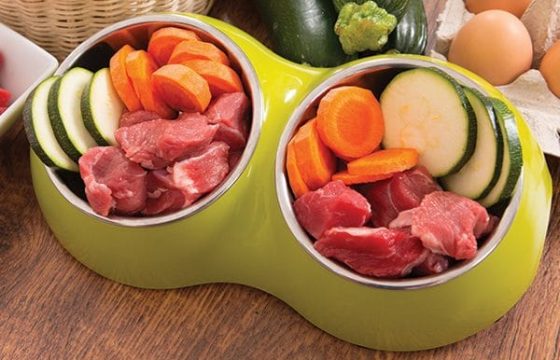 The Importance of a Balanced and Varied Raw Diet for Dogs