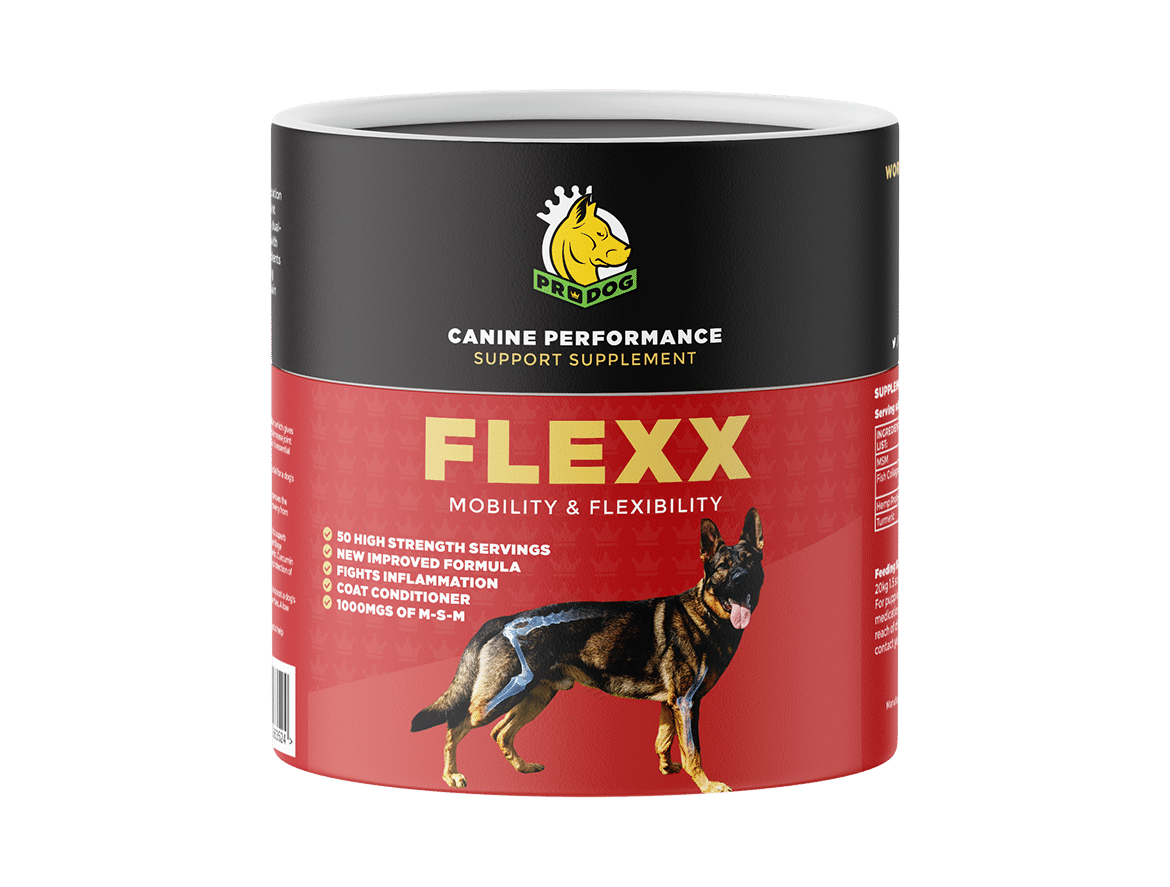 dog joint supplement powder