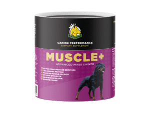 Muscle+ | Dog Weight Gainer