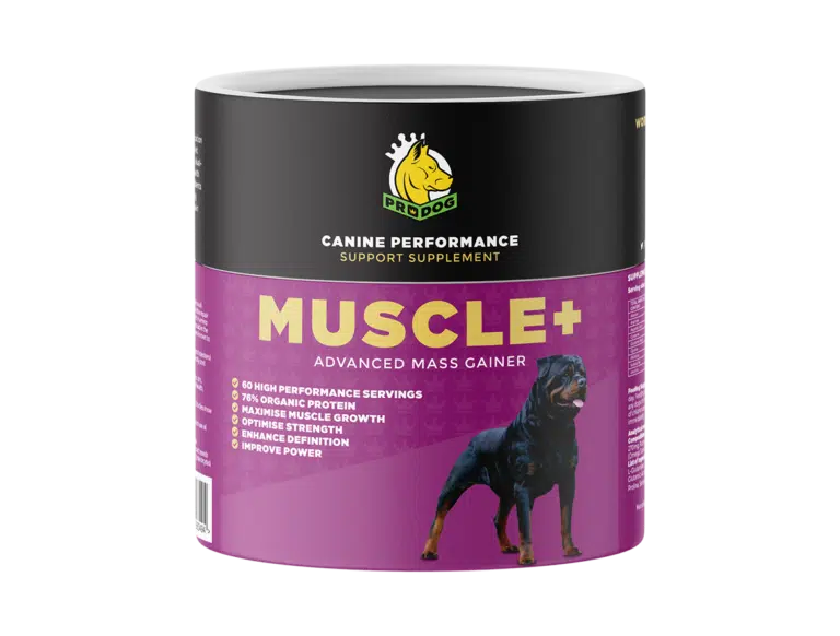 MUSCLE+ Muscle Building Protein Powder - ProDog Raw