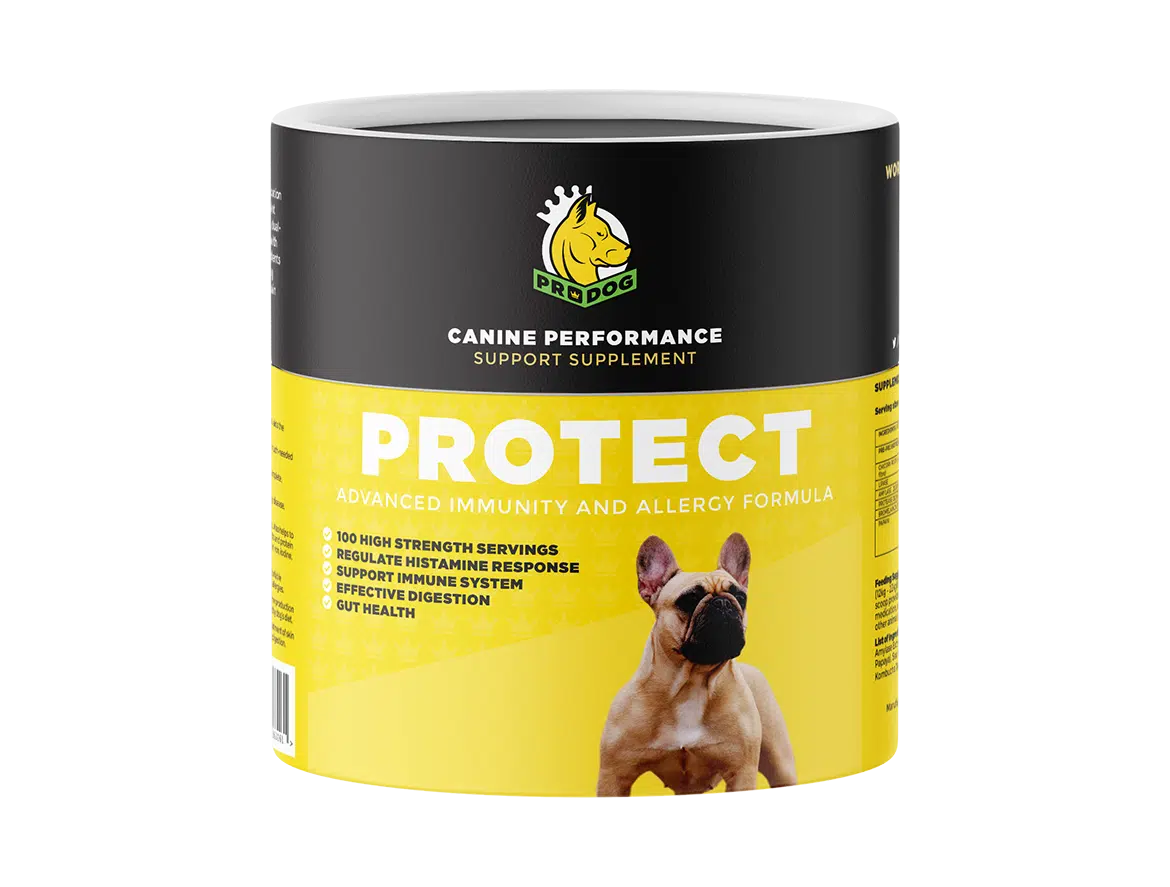 Pack shot of protect, our dog allergy supplement