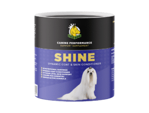 Shine | Dog Coat Supplement