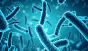 Addressing the Concerns around Bacteria when feeding Raw Dog Food