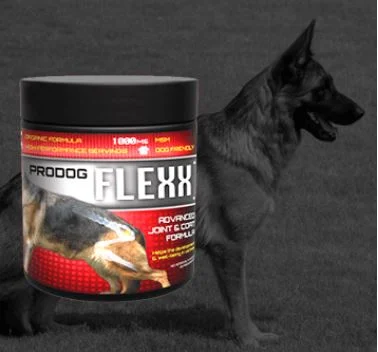 How to Choose the Right the Joint Supplements for Dogs?