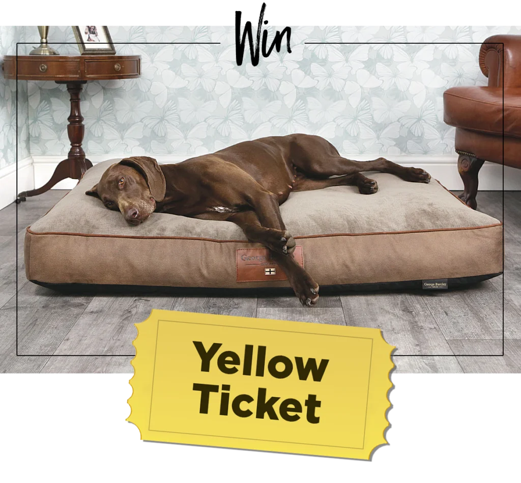 George barclay dog beds discount