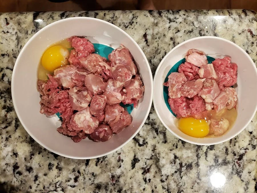 adding raw food to kibble
