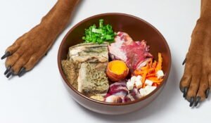 What is the BARF Diet? Is it the Same as Raw Feeding?