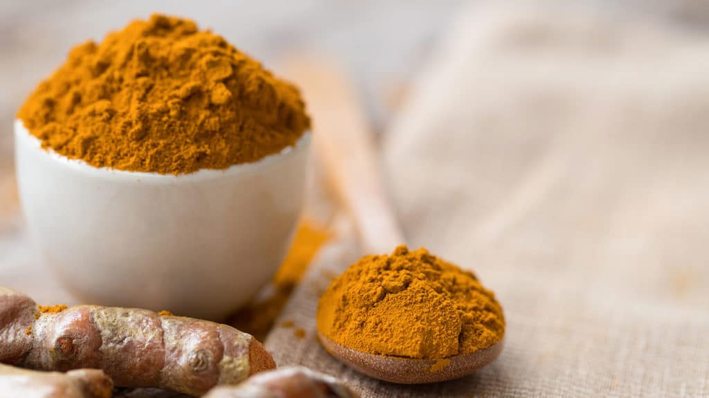 Everything You Need to Know About Turmeric for Dogs