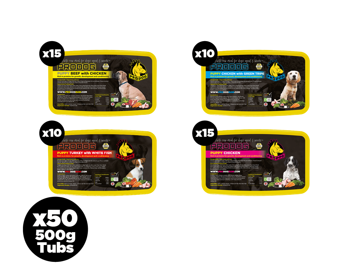 Raw Puppy Food Bundle Raw & Complete ProDog Raw