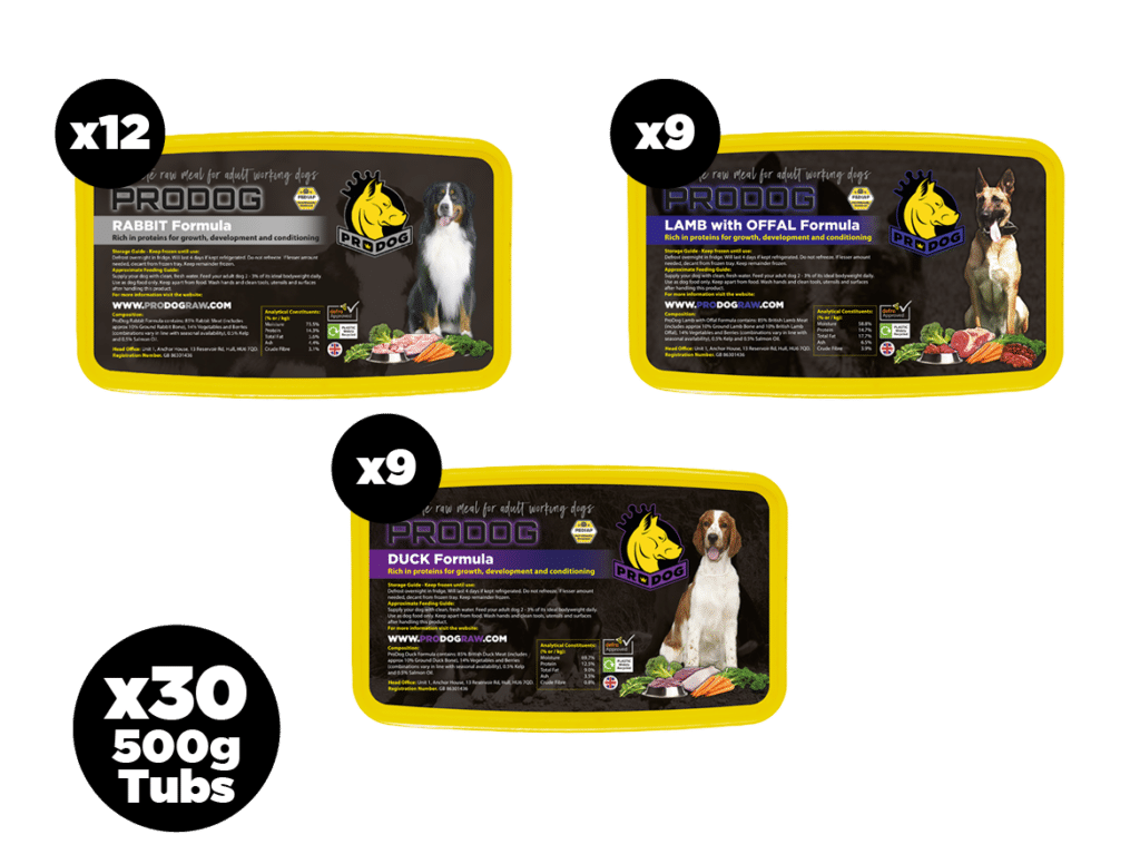 Raw Food Bundles Free UK Delivery ProDog Raw