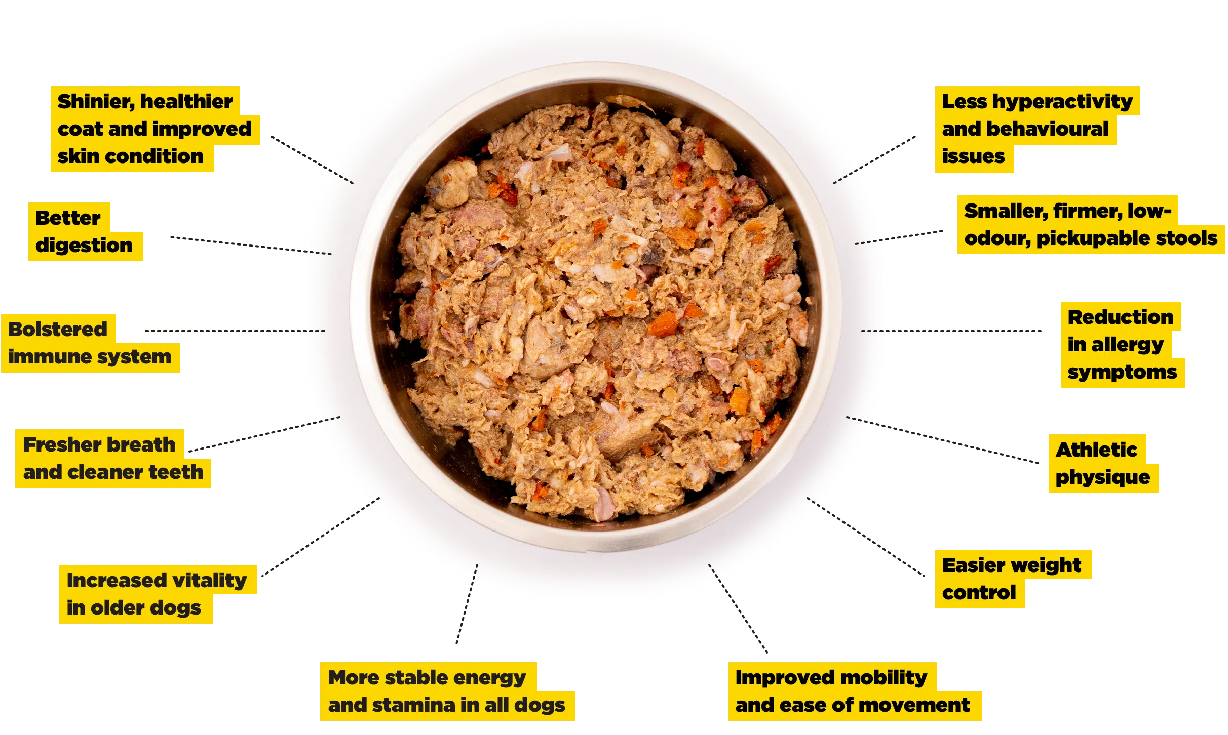 The benefits of raw dog food listed around a bowl of delicious raw dog food