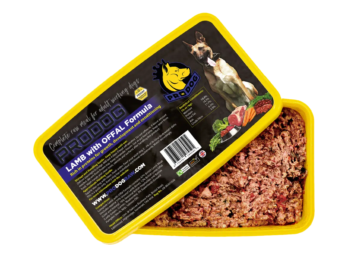 pack shot of lamb complete raw dog food