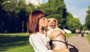 Five Ways To Spoil Your Dog The ProDog Way