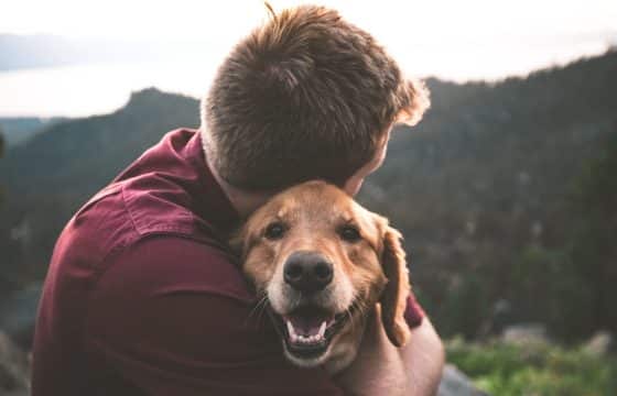 One Simple Way You Can Help Your Dog Live Their Best Life