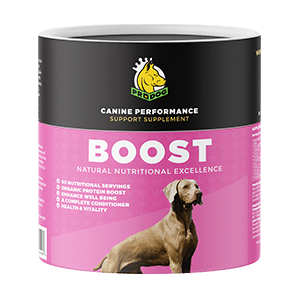 Dog Vitamin & Mineral Supplements