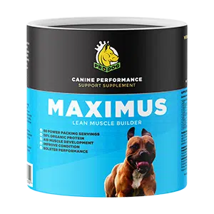Canine Performance Supplement
