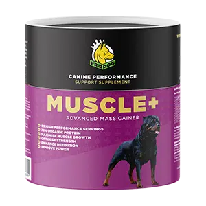 Dog Muscle Supplements