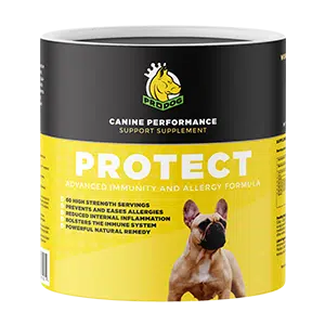Allergy Supplements For Itchy Dogs