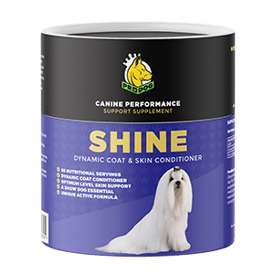 Dog Skin & Coat Supplements