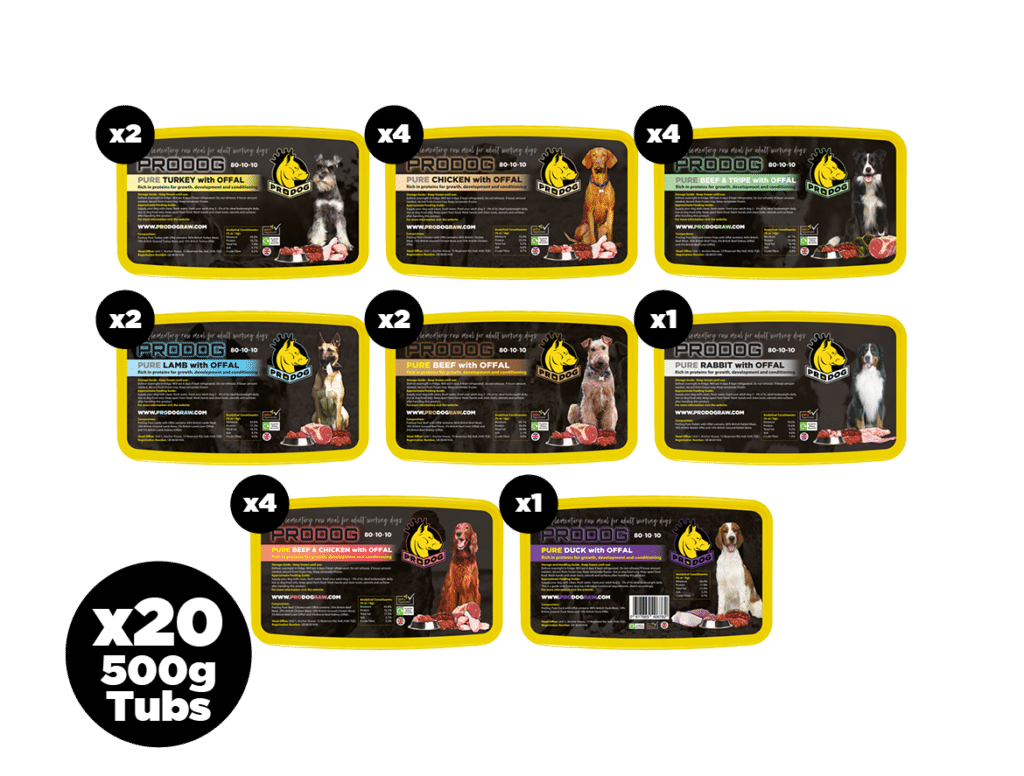 Fish Free Dog Food Bundle 801010 Meals ProDog Raw