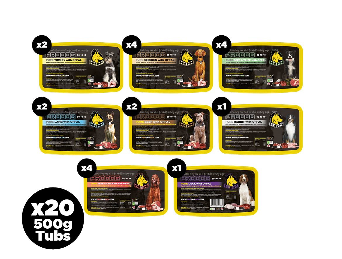 Fish Free Dog Food Bundle 801010 Meals ProDog Raw