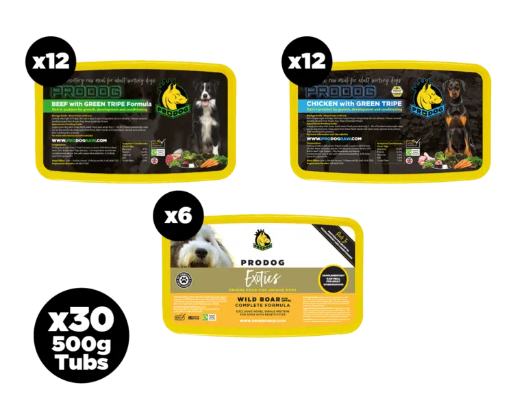 Low phosphorus raw dog food 2025