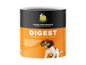 Digest | Dog Gut Health Supplement