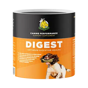 Dog Digestive Support Supplements