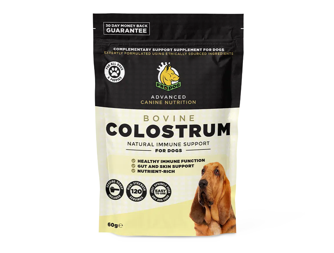 Colostrum For Immune Support
