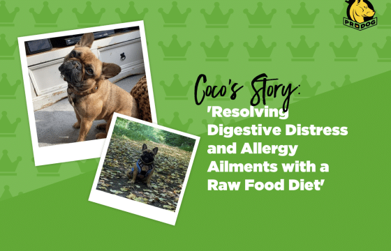 Resolving Digestive Distress & Allergy Ailments With A Raw Food Diet
