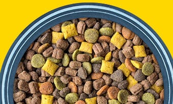 Dog Supplements for a Dry Food Diet