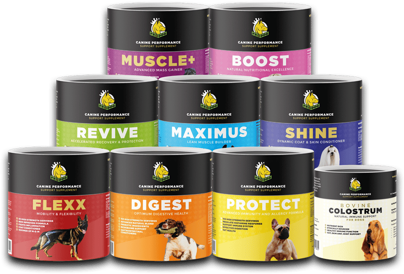 ProDog's entire dog supplement range