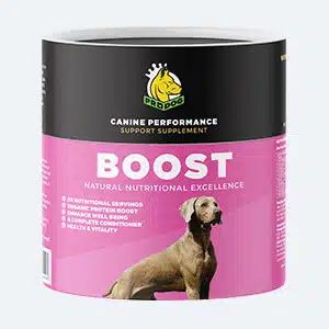 boost product shop one of our vitamin and mineral supplements, one of 9 types of dog supplement