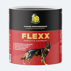 Dog joint supplement pack shot to aid with arthritis in dogs