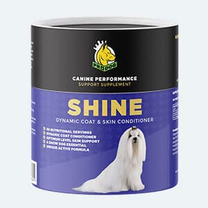 shine dog coat supplement pack shot