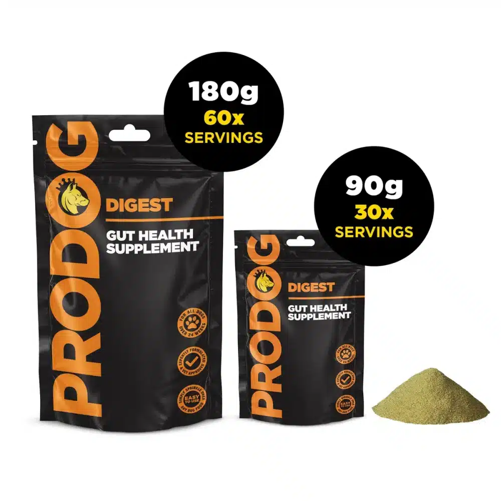 digest dog gut health supplement