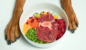The Truth About Fats for Dogs: The All-You-Need-to-Know Guide