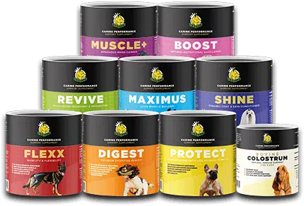 Packshots of our Supplements range to help you answer the questions should I give my dog supplements and what supplements should I give my dog? use our dog supplement reviews to help you decide
