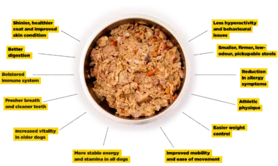 The benefits of raw dog food listed around a bowl of delicious raw dog food