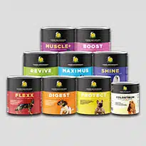 Supplements for dogs Answering the question what are dog supplements? with an image showing 9 tubs of ProDog supplements