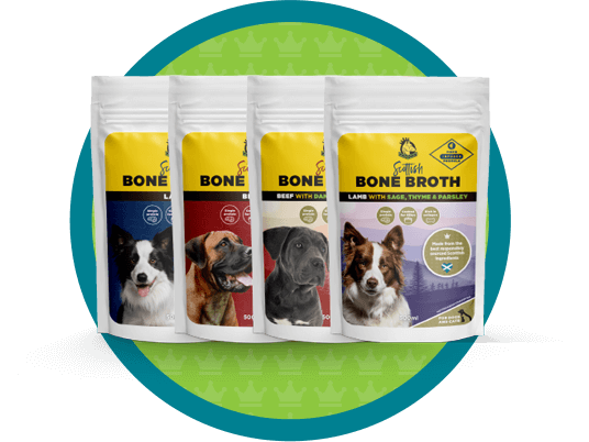 Scottish Bone Broth for dogs