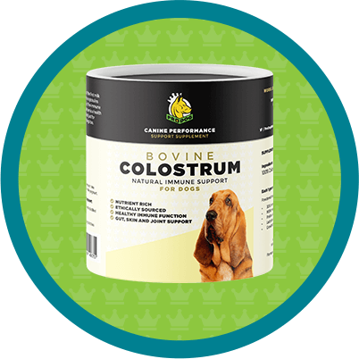 Colostrum Immune support supplement