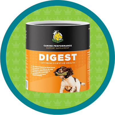 Digest digestive support supplement